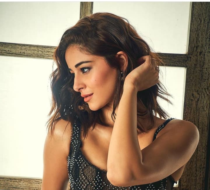 Ucapan Spesial Ananya Panday di Ultah Siddhant Chaturvedy, Romantis?