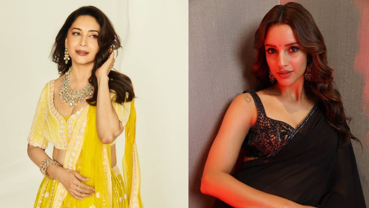 Madhuri Dixit & Triptii Dimri Seproyek Bareng Di Ma Behan