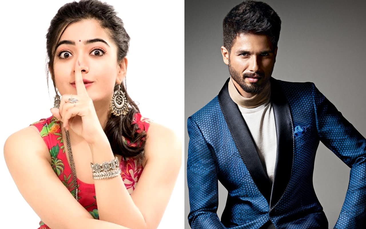 Rashmika Mandanna Jadi Lawan Main Shahid Kapoor Di Proyek Mendatang