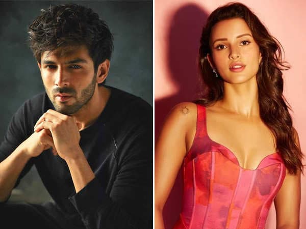 Animal Sukses, Triptii Dimri Dilirik Di Aashiqui 3?