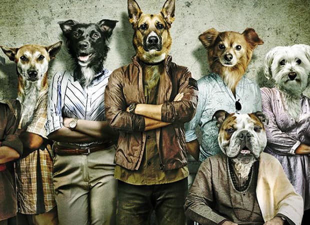 Kuttey, Antara Peluru, Darah dan Pengkhianatan