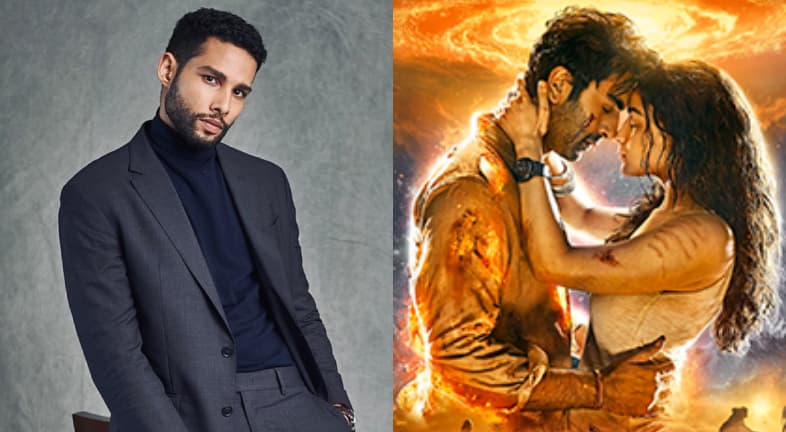 Terungkap, Alasan Siddhant Chaturvedi Tolak Bintangi Brahmastra