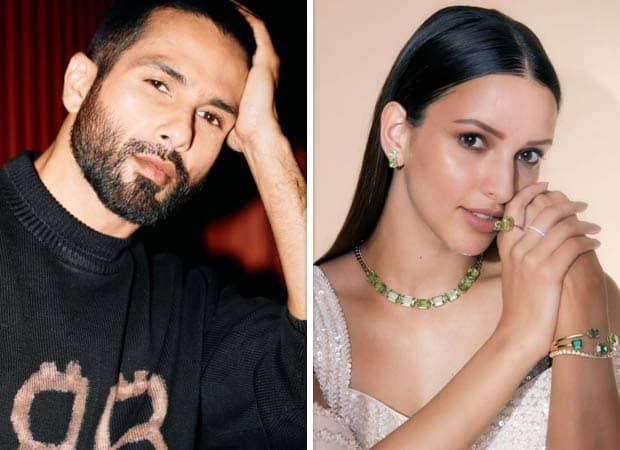 Dibintangi Shahid Kapoor & Triptii Dimri, Romeo Bakal Segera Rampung